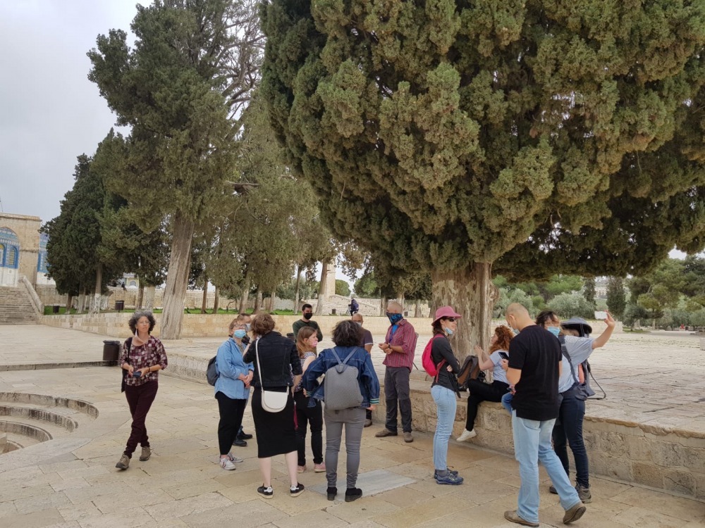 הר הבית סיור