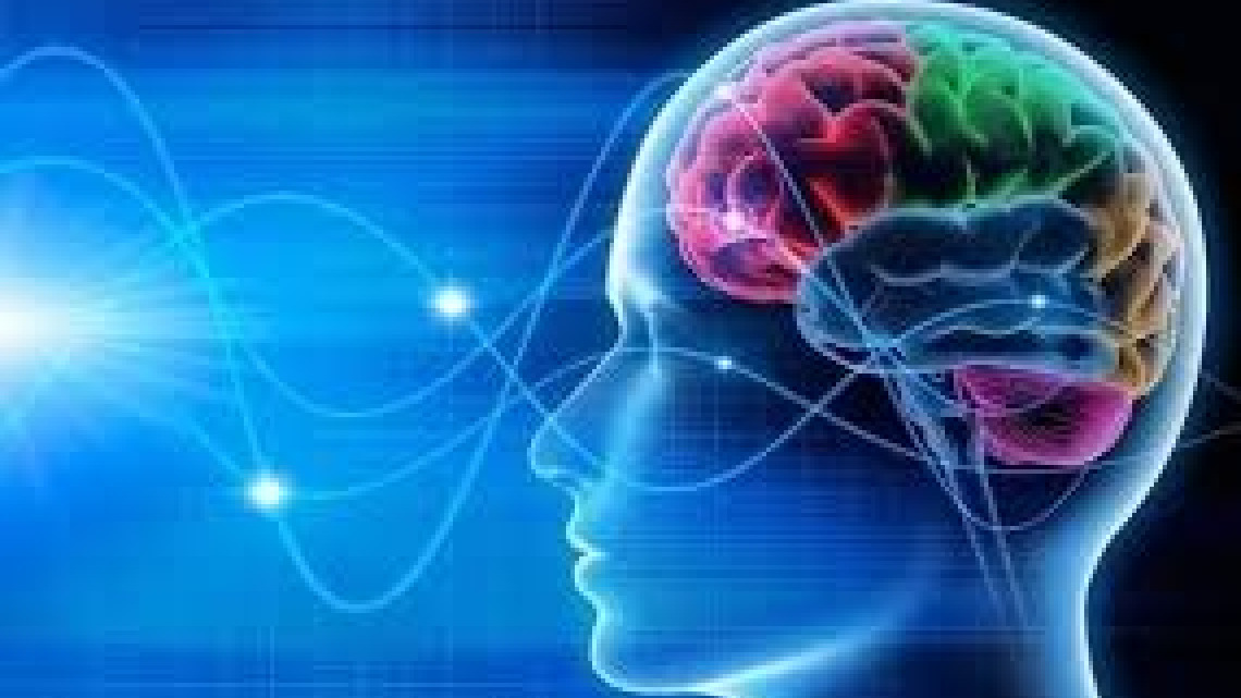 גלי מוח: קוגניציה, ביולוגיה ומה שביניהם